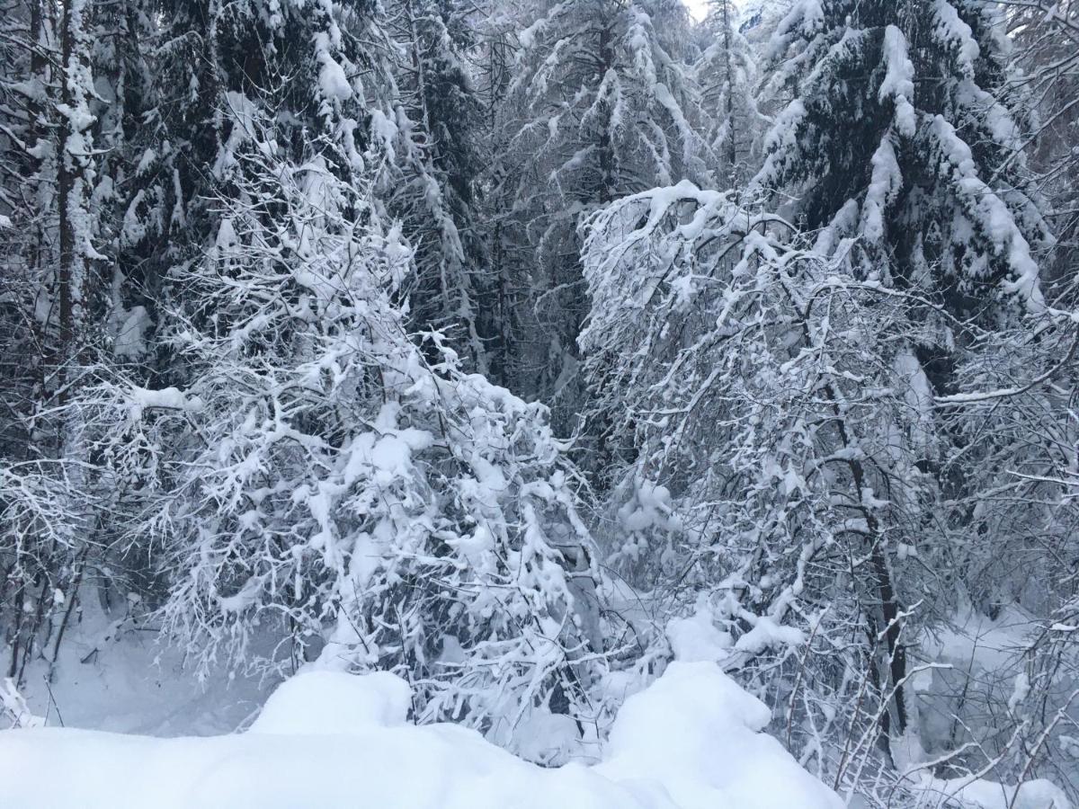 Oetztalpin *